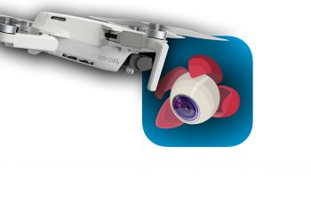 litchi mini2 00