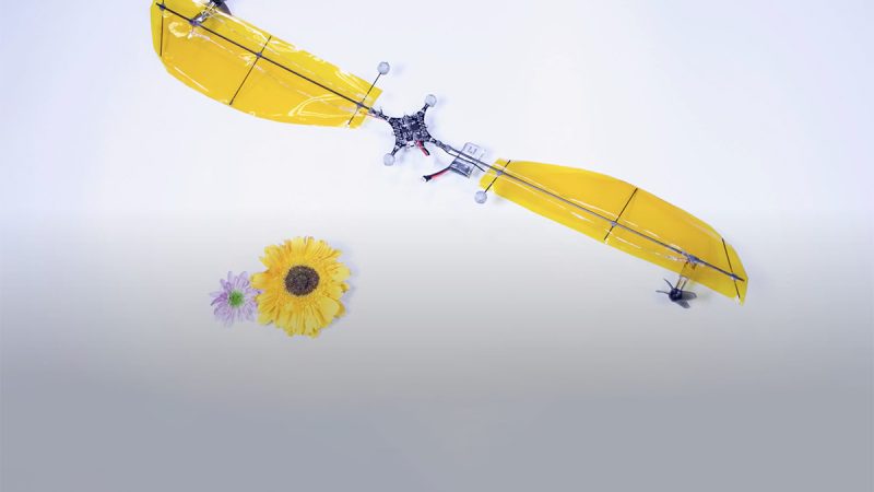 Recherche : un drone de 50 grammes capable de voler pendant 24 minutes