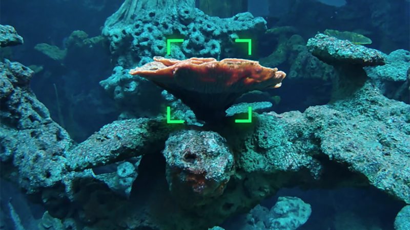 Vision Lock : un suivi automatique pour les robots sous-marins Fifish de Qysea