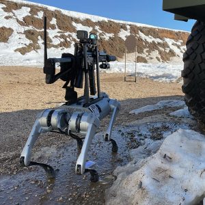chien robot arme 01