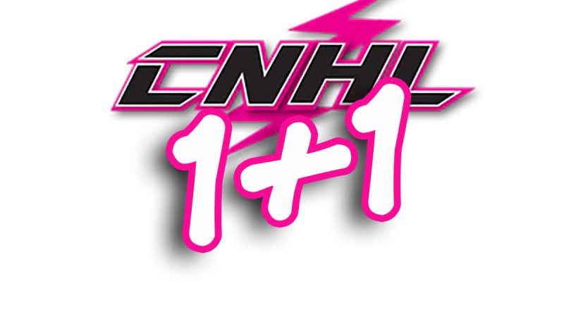 Bon plan : si vous achetez 2 batteries, CNHL vous en offre une