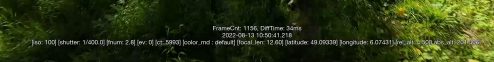 dji avata screens 101
