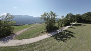 dji avata screens 103