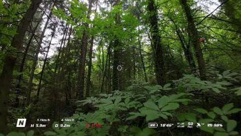 dji avata screens 96