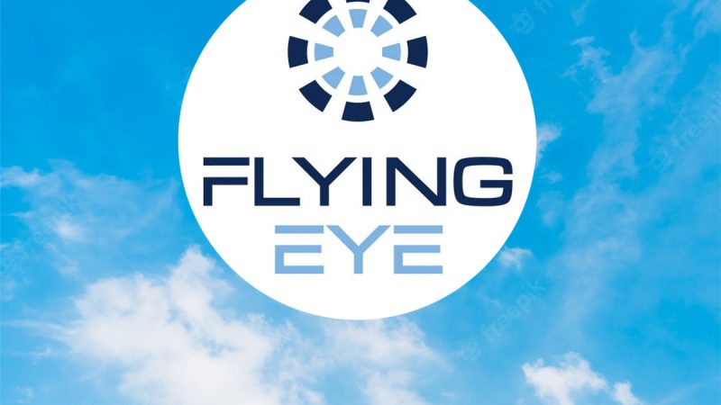 Job : Flying Eye recrute un Content Manager