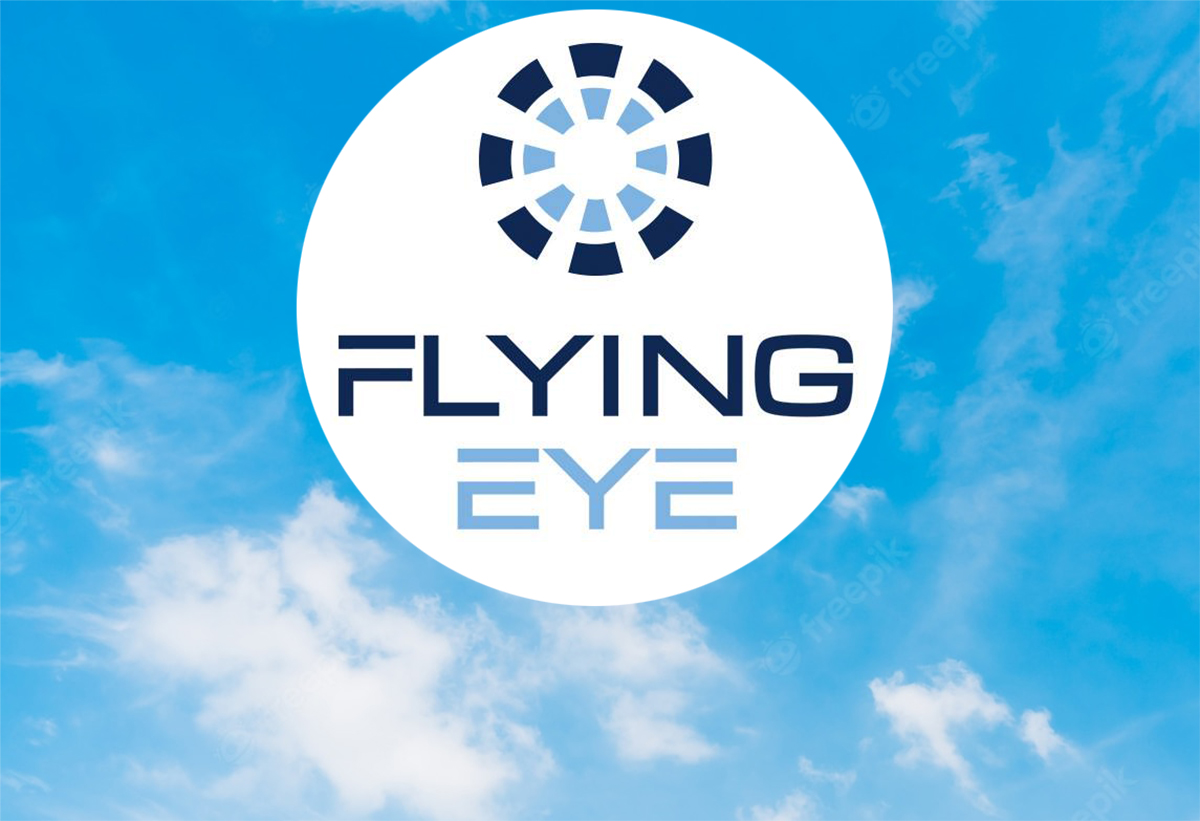 Job : Flying Eye recrute un Content Manager