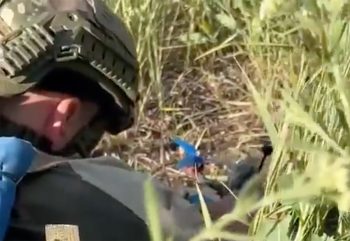ukraine racer kamikaze 01