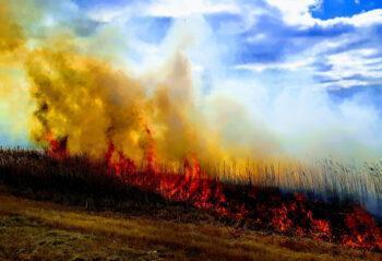 suisse incendie champ drone 00