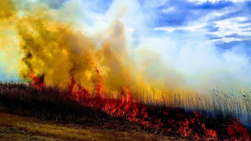 Suisse : le crash d’un drone a provoqué l’incendie d’un champ