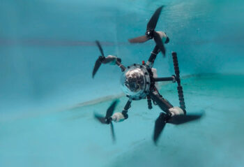 TJ FlyingFish 00
