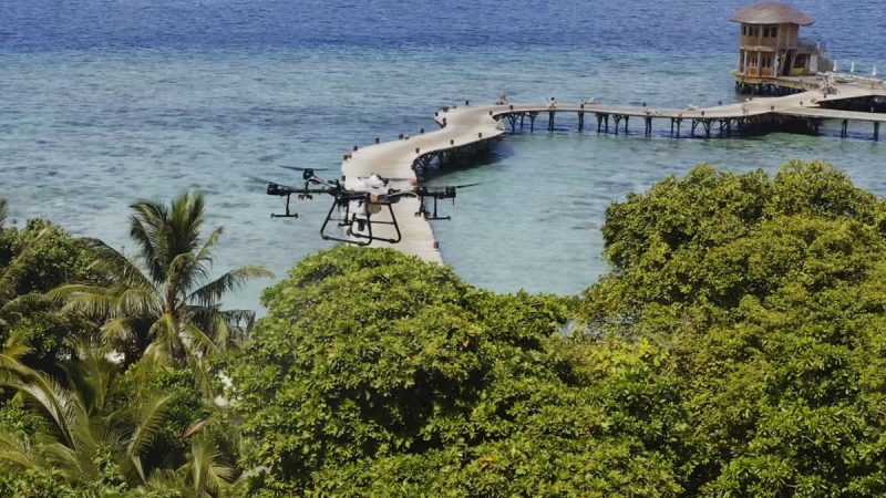 Aux Maldives, les drones de DJI sont utilisés pour combattre une invasion de chenilles