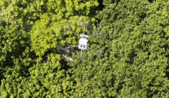 dji agras t30 bart knols 01