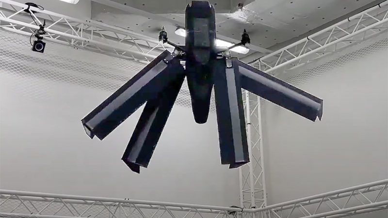 Morpho d’Elythor, le drone dont les ailes s’adaptent à la situation et au vent