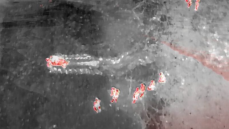 DJI Enterprise et les tortues thaïlandaises