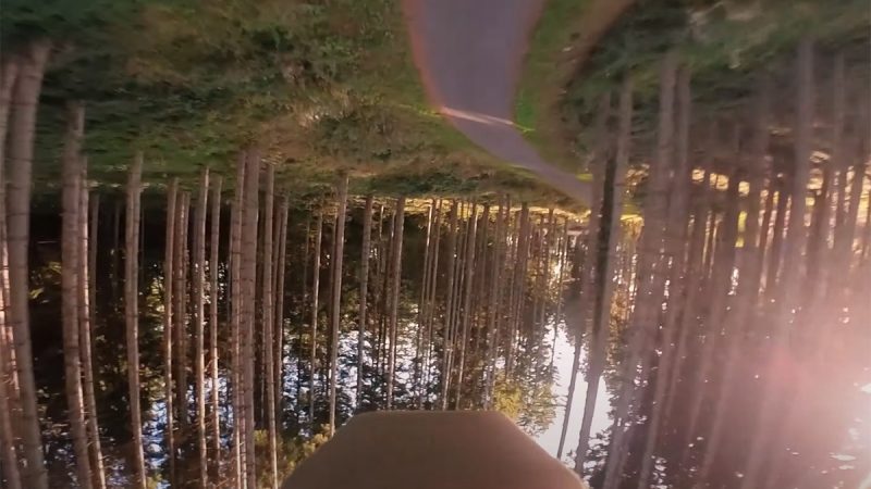 Golden Val : la tête à l’envers dans les bois (avec la Tikky Wing)