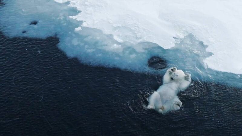 Florian Ledoux, photographe et cinéaste en Arctique, et le Mavic 3 Pro Cine de DJI