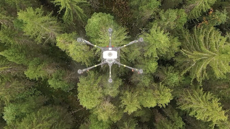 DJI et Biodrone : un webinaire au sujet des services en drone pour l’industrie forestière, le 9 avril 2024