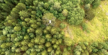 dji biodrones 01