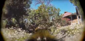 camera on a bee 01
