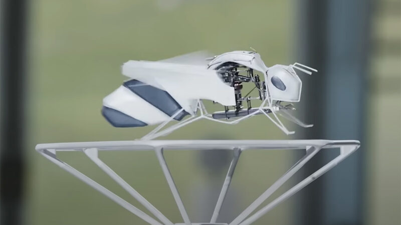 Festo BionicBee : un drone abeille de 22 cm et 34 grammes a été dévoilé en Allemagne (et ça vole !)