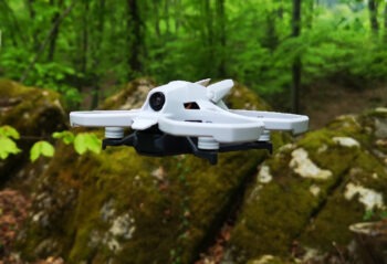 hisingy stargazer 00054