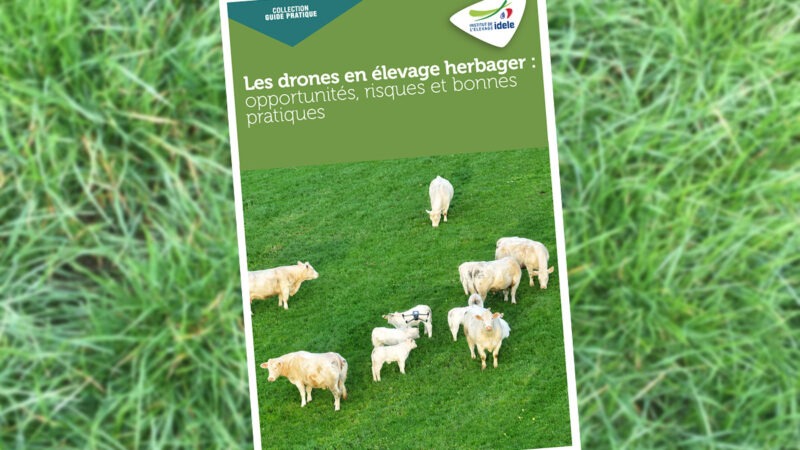 Gratuit : un guide pratique des drones par l’Institut de l’Elevage (parfait pour tous les publics !)