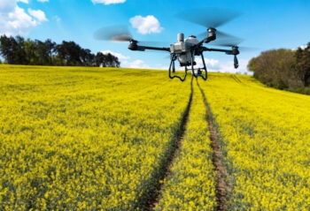 agriculture