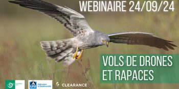 clearance lpo pnp drones rapaces 01