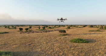 dji lions ouganda zenmuse h30t 01