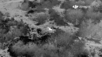 dji lions ouganda zenmuse h30t 02