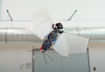 flapper drones 00