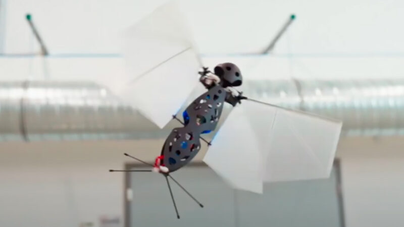 Flapper Drones, des engins volants radiocommandés qui battent des ailes