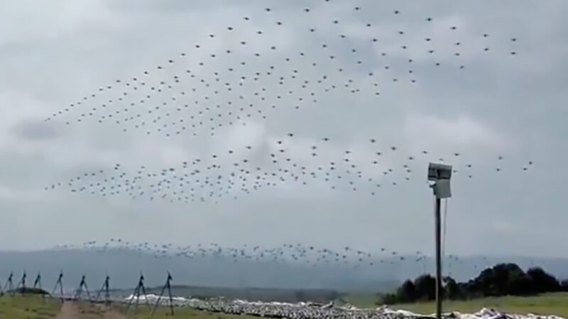 Elon Musk et les essaims de drones