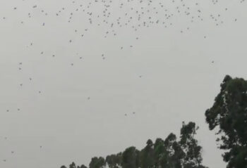 china drones crash dec 2024 00