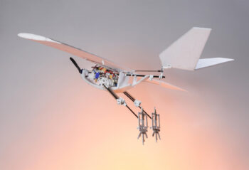 epfl raven 00