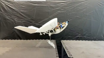 epfl raven 01