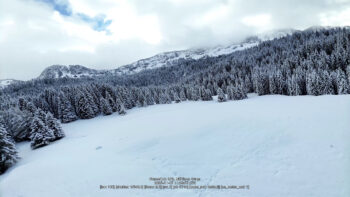 dji o4au capt 41