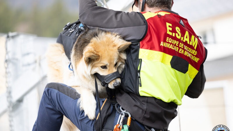 Découvrez l’association Equipe de Secours Animalier en Montagne (ESAM) et les drones