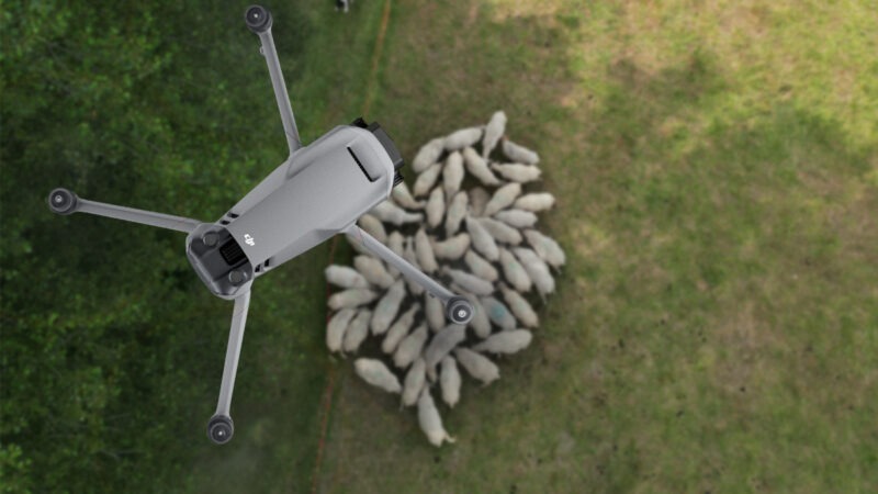 Journée de découverte Icaerus le 10 avril 2025 : le drone et la surveillance des troupeaux