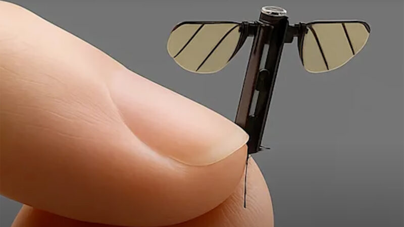 La Chine et le nano drone de surveillance (?) de la taille d’un moustique