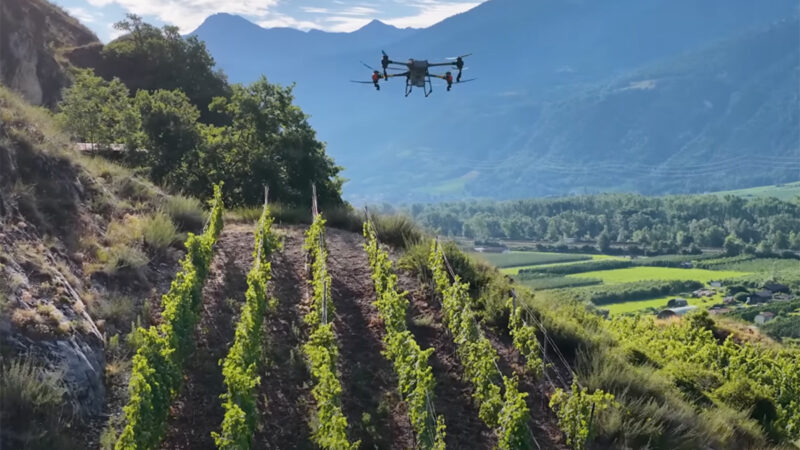Epandage par drone : Gautier Veltri en reportage sur des parcelles de vigne en pente, en Suisse