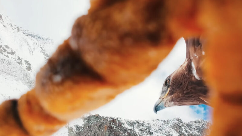 Team BlackSheep et l&rsquo;aile Chupito : Eagle Stole our FPV Drone