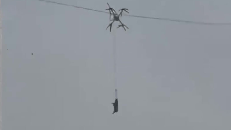 Le drone, le cochon et la ligne à haute tension