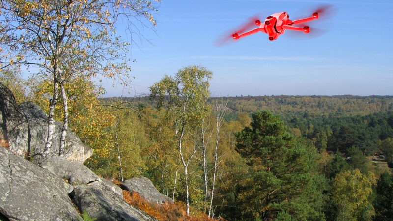 Forêt de Fontainebleau : est-il possible d’y voler en drone ?