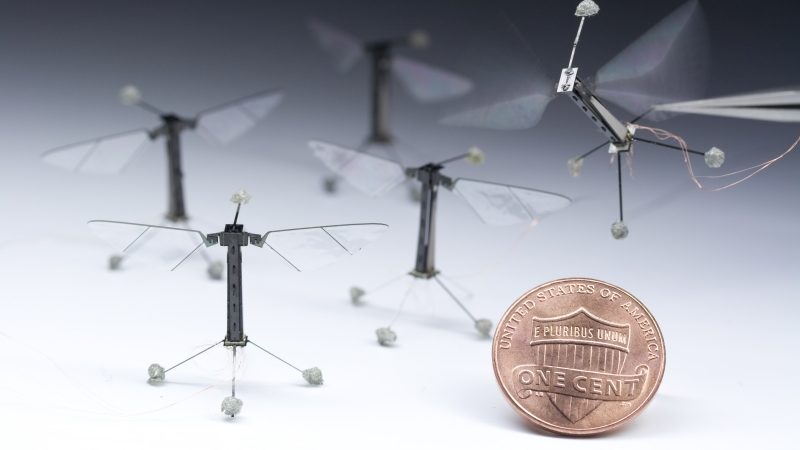 RoboBees, les insectes volants