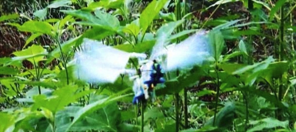 TechJect Robot Dragonfly