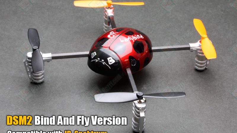 Spektrum et Ladybird
